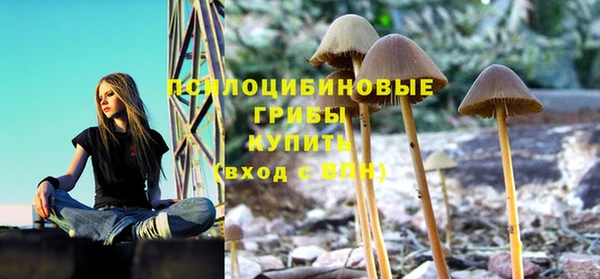 спайс Заволжье