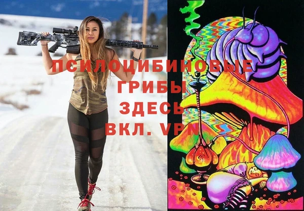 скорость Заводоуковск